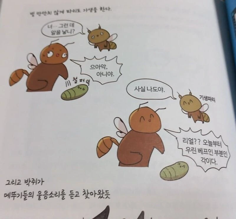 만화로 배우는 멸종과 진화 - 이미지 2