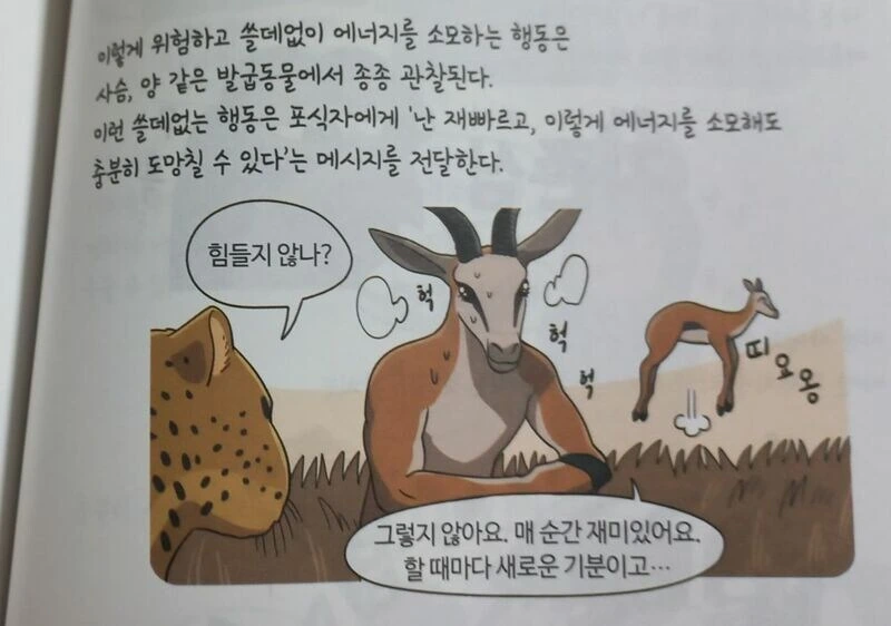 만화로 배우는 멸종과 진화 - 이미지 5
