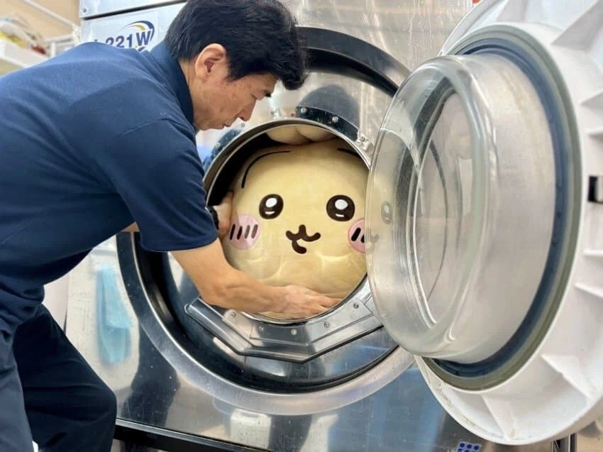 치이카와) 우사기 너만큼은 살아남아라...