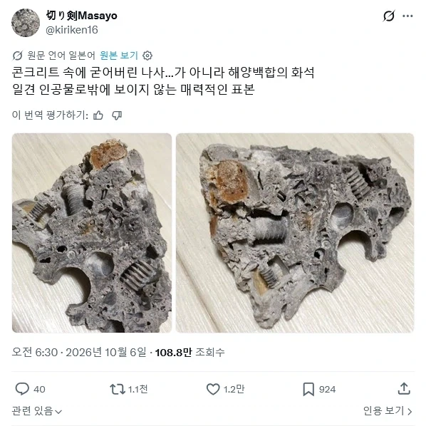 고대 지층에서 발견된 오파츠