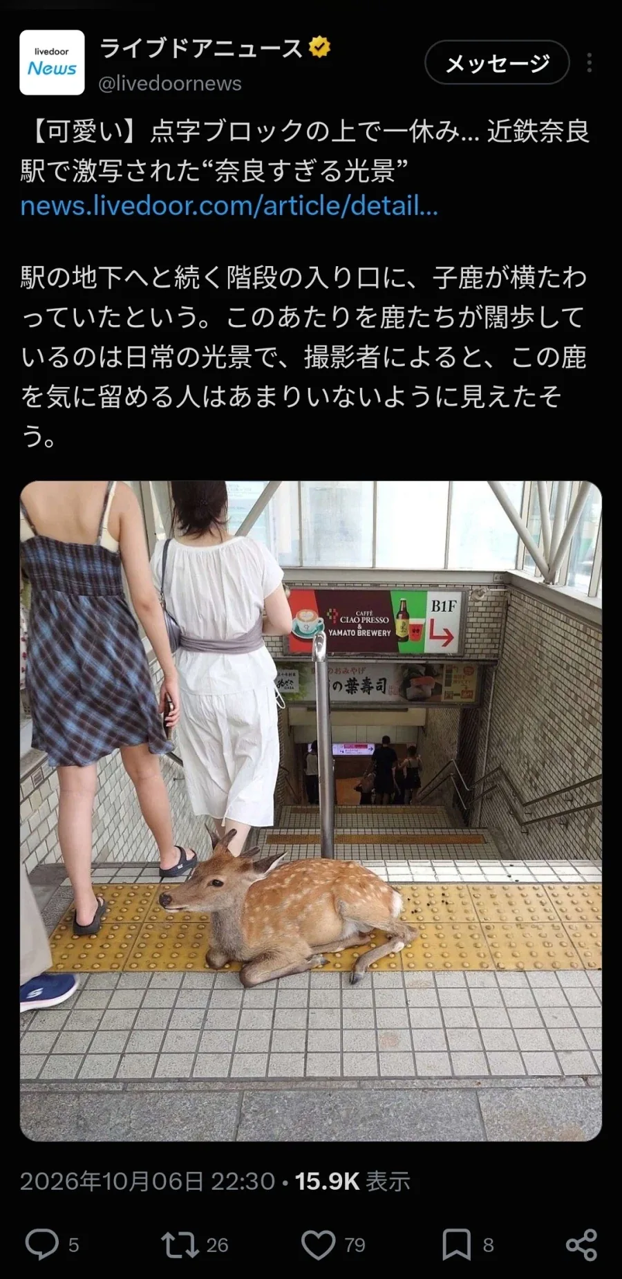 일본 나라현이어서 가능한 광?경