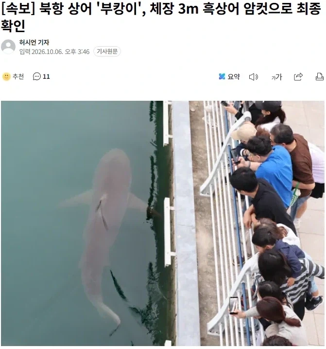 부캉이가 암컷인 건 어떻게 알았을까