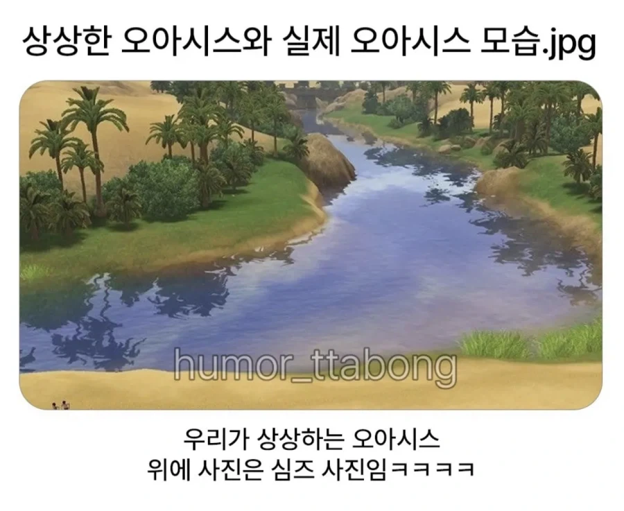 상상한 오아시스와 실제 오아시스 모습.jpg