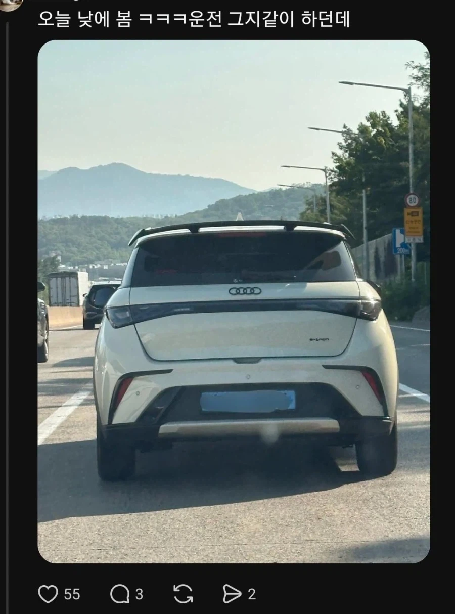 Byd 아우디 엠블렘 튜닝 차량을 본 현직 아우디 딜러 - 이미지 2