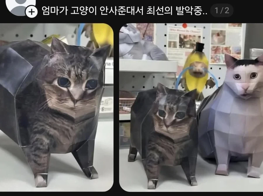 엄마가 고양이 안사준대서 최선의 발악 중.jpg