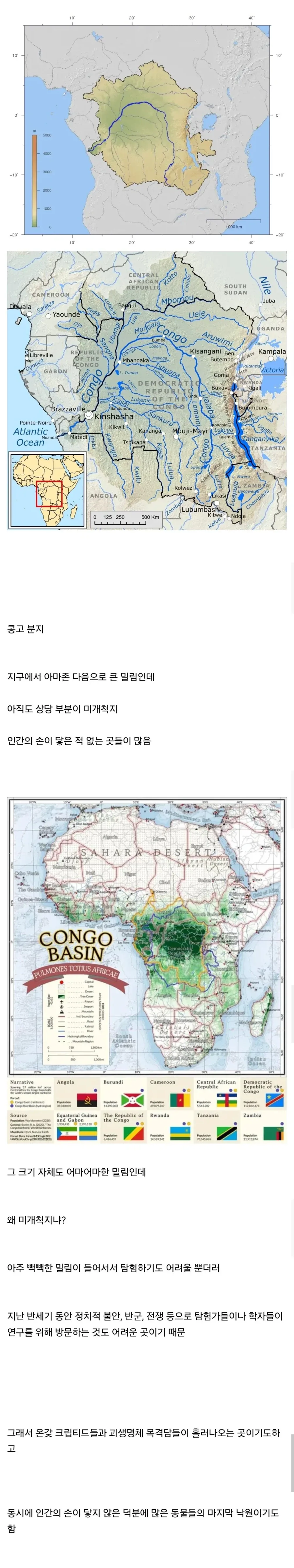 콩고 분지.jpg