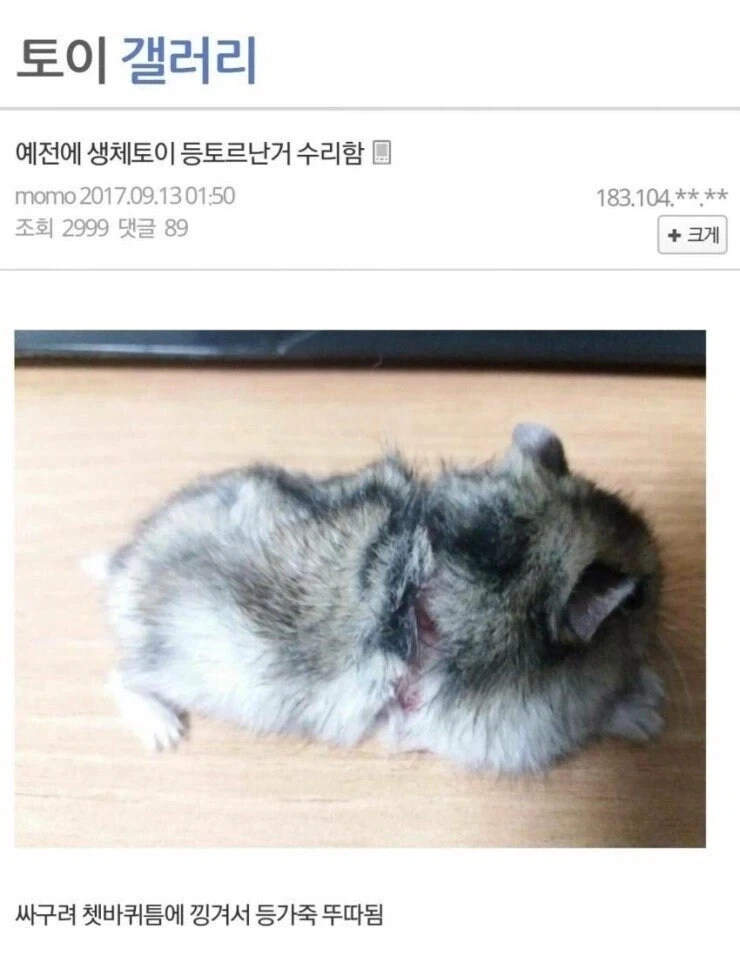 의사가 포기한 환자 야매로 수술한 디시인