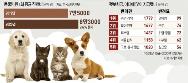 한국에서 미국 의료비 체험 쌉가능한 가장 쉬운 방법