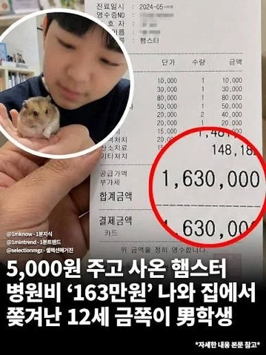 한국에서 미국 의료비 체험 쌉가능한 가장 쉬운 방법 - 이미지 2