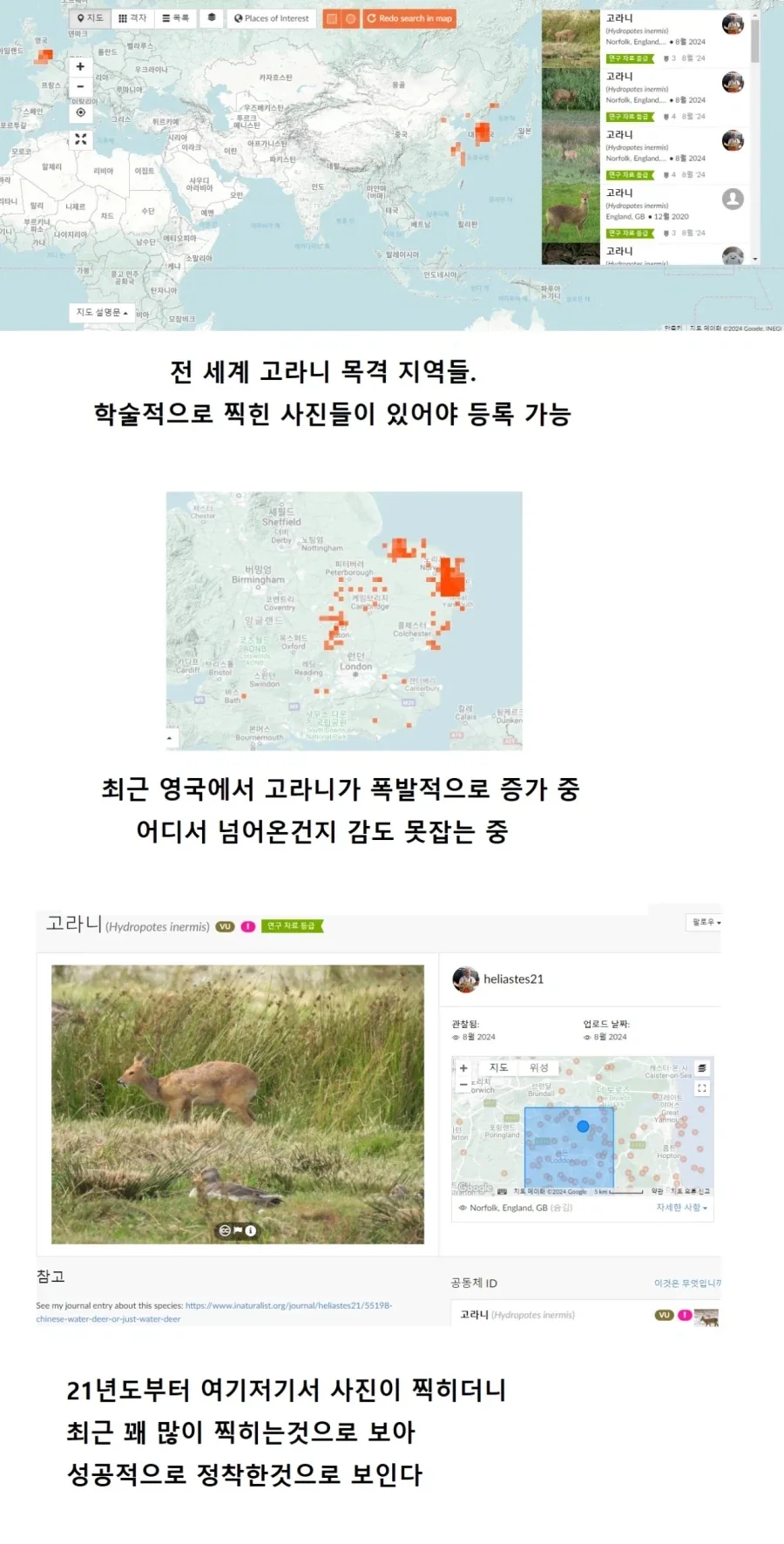 [수출] 고라니 수출 성공.jpg
