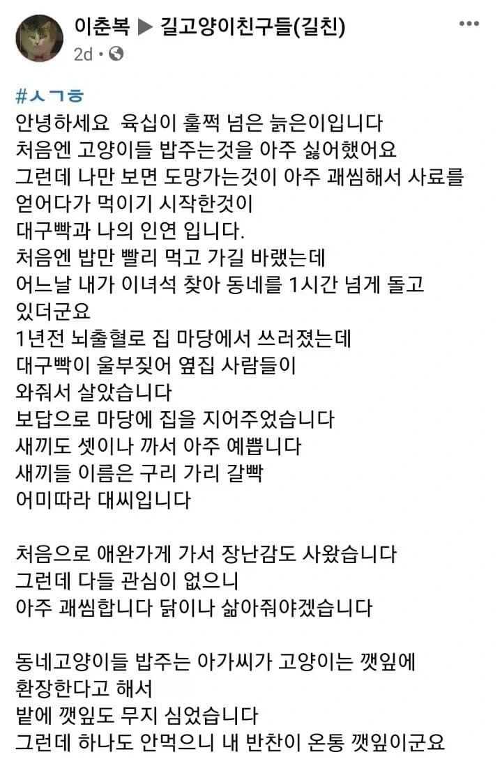 고양이의 은혜로 목숨 건진 60 넘은 할아버지.