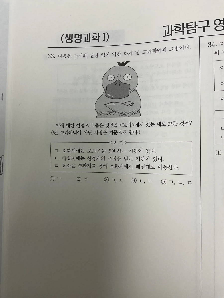 시험문제와 상관없는 화가난 고라파덕.x