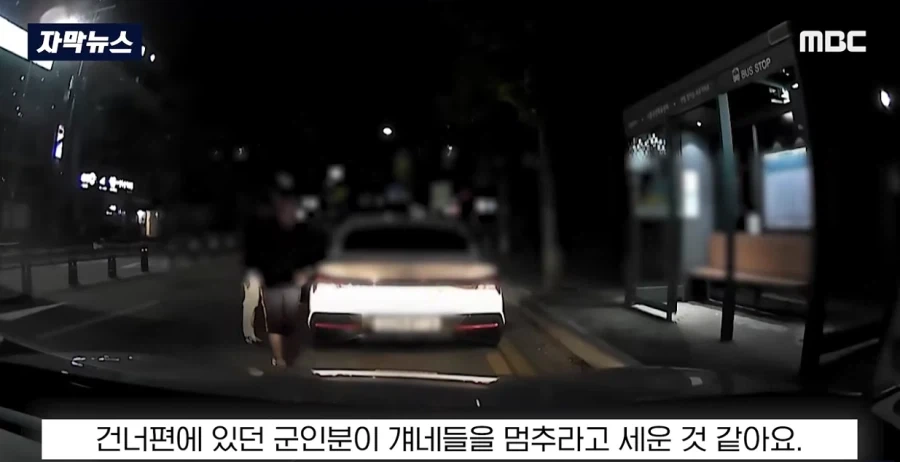 "이 사람 미쳤어!" 즉각 추격, ＇내려!＇ 반바지 입고 ＇우르르＇ - 이미지 13