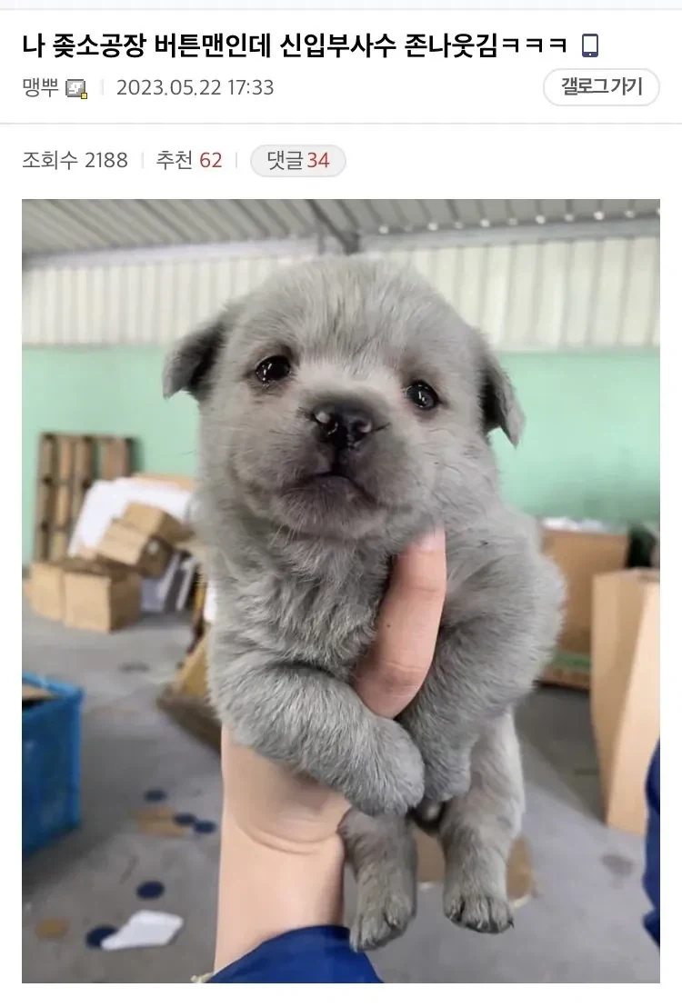 중소기업 생산직 S급 부사수