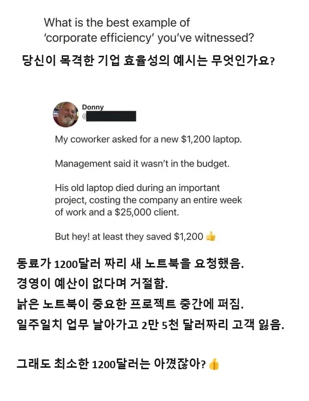 당신이 목격한 기업 효율성의 예시를 들어 주세요.
