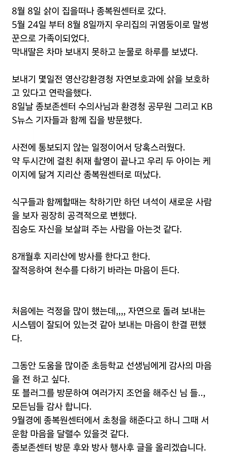아기고양이를 주워온 블로거의 최후 - 이미지 2