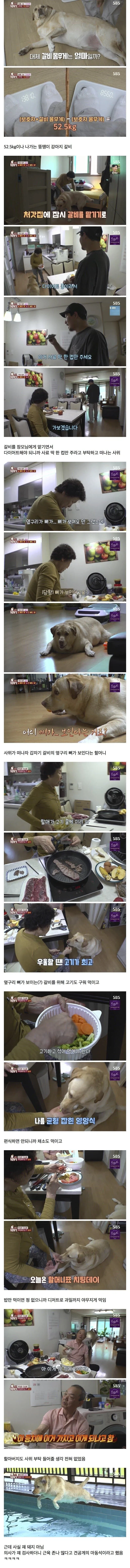 할머니가 키운 강아지.jpg