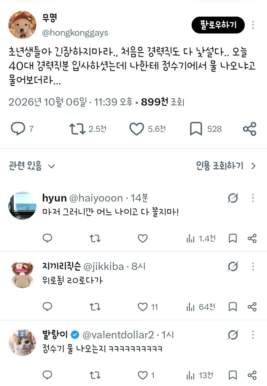 초년생들아 쫄지마