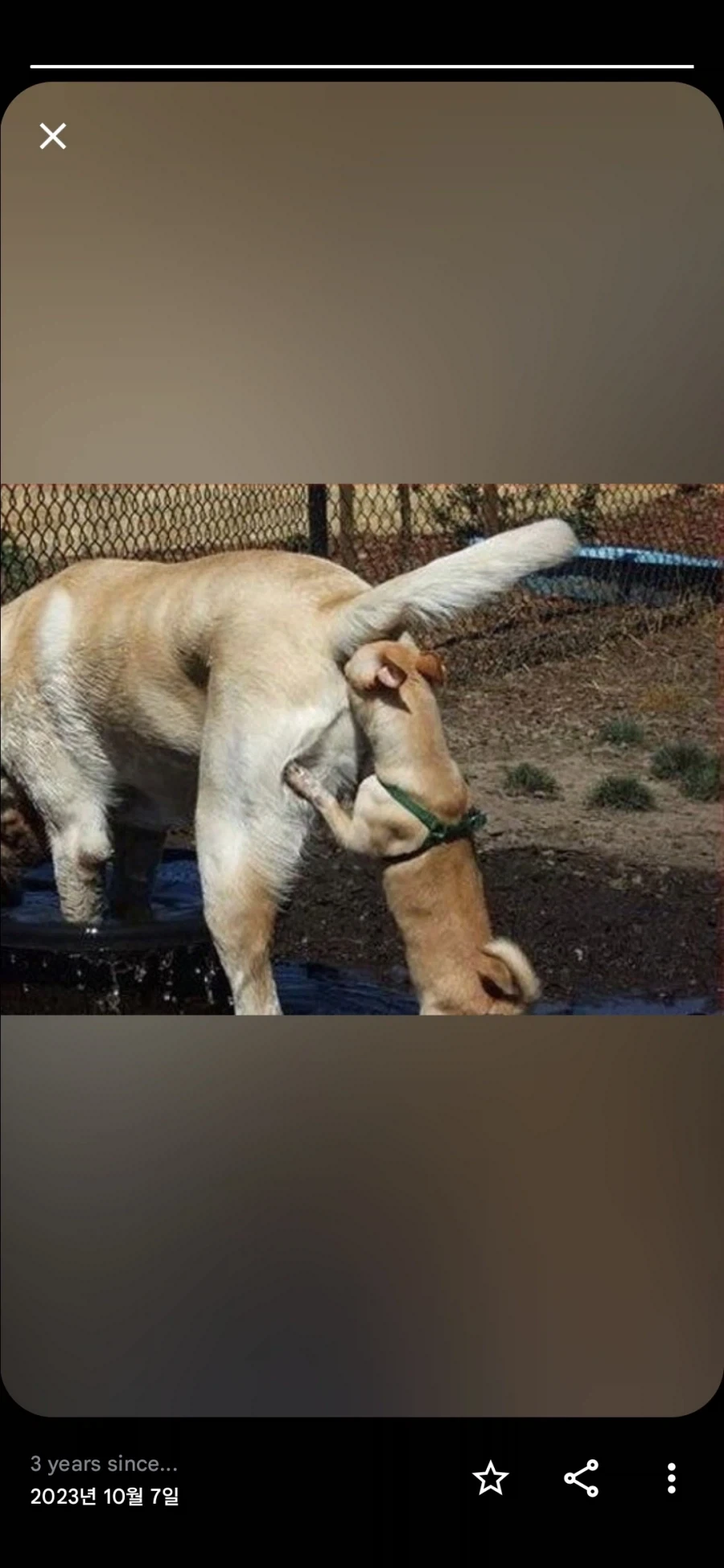 3년전의 자신을 돌아보세요