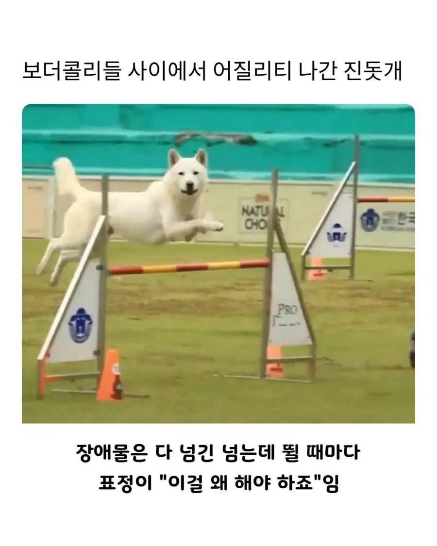 하라고 하니까 일단 하긴 한다만