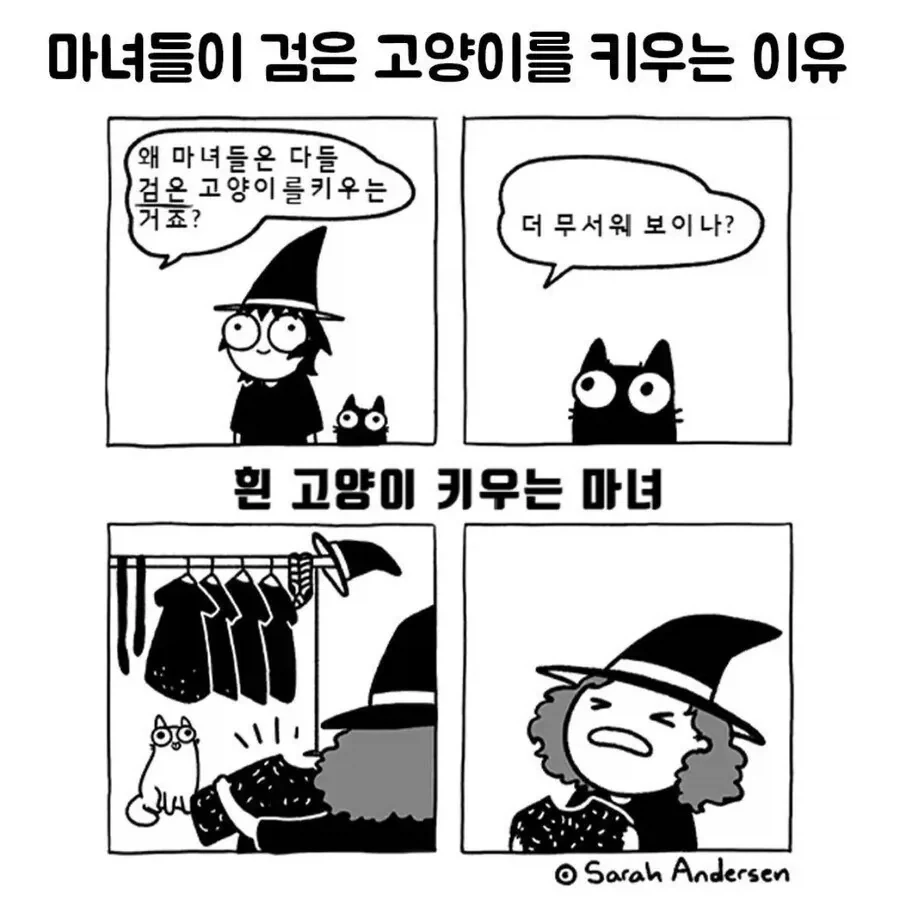 마녀들이 검은고양이를 키우는 이유.jpg