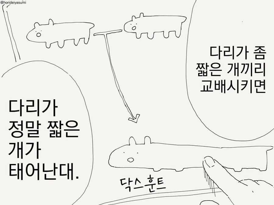 인류가 가축과 작물을 개량해온 역사 manga - 이미지 2