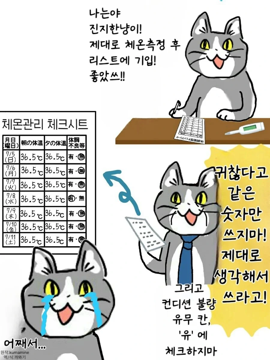 ㅈ소 고양이 만화 모음 - 이미지 2
