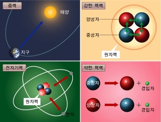 원피스) 힘힘열매 각성