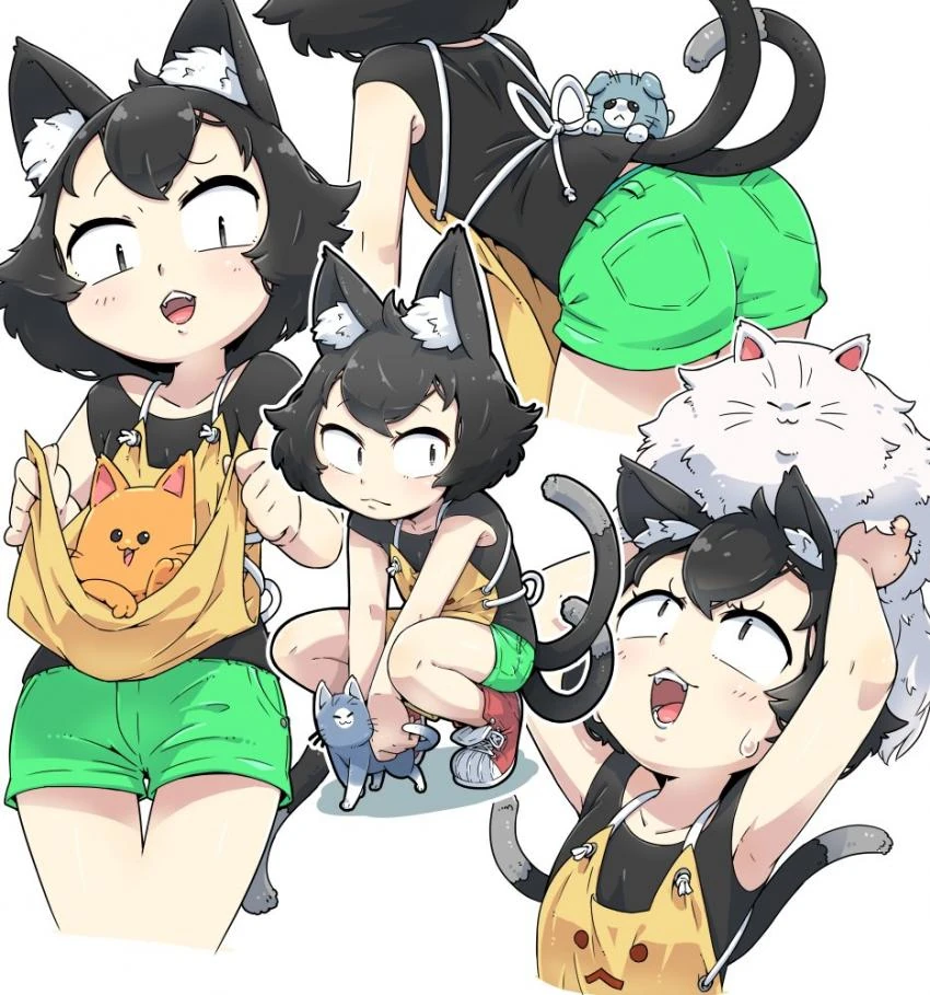 ㅎㅂ)고양이 카페 만화