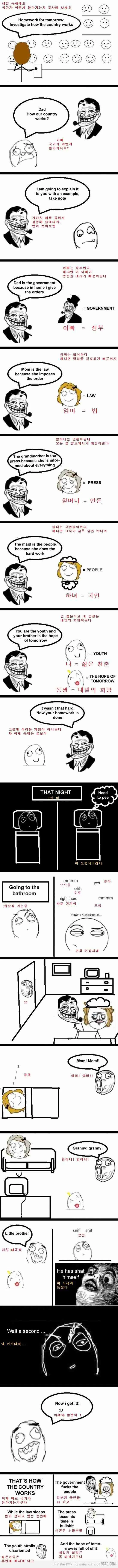 국가는 어떻게 돌아가는가.manwha