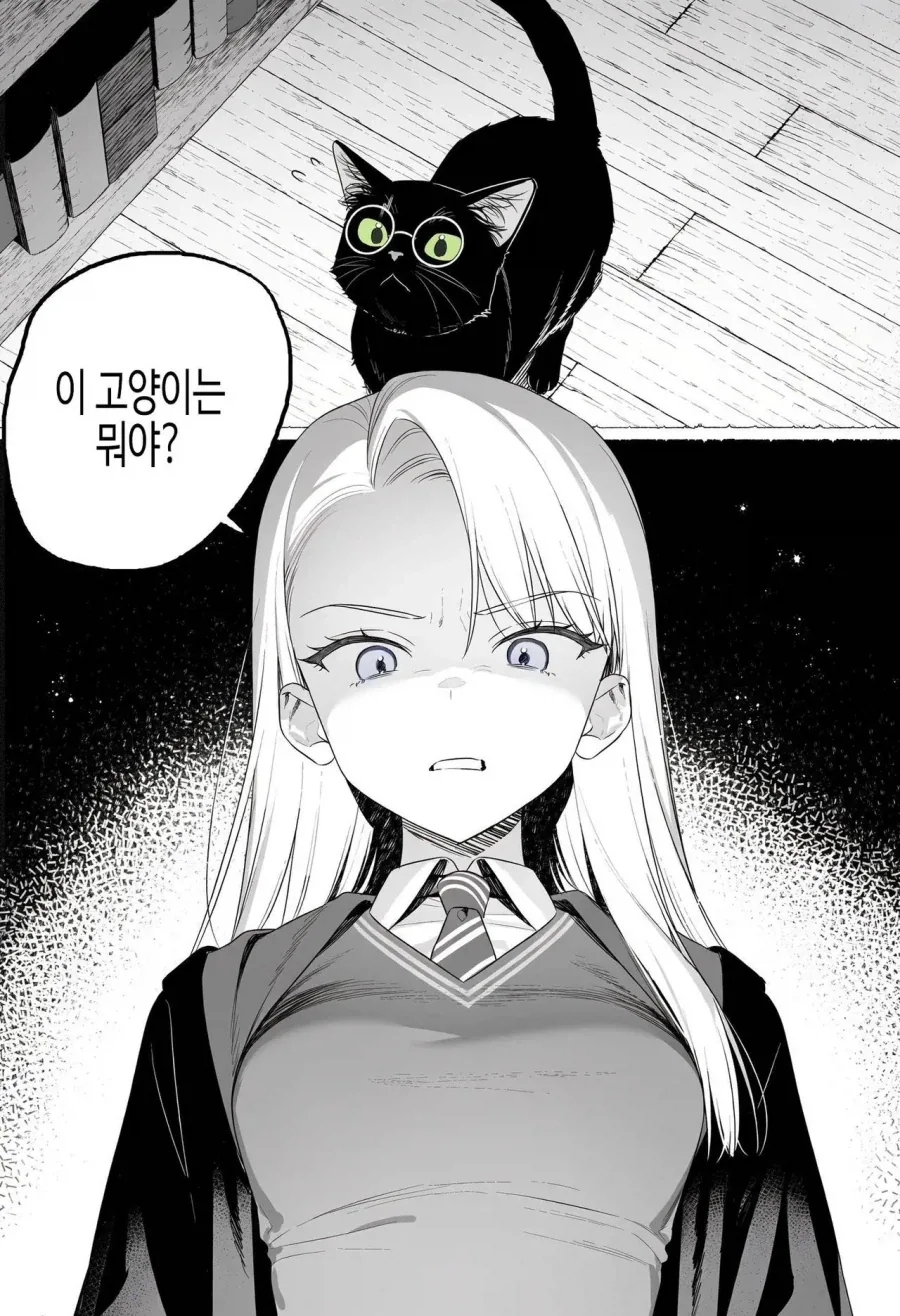 츤데레 말포이 만화 모음.manhwa - 이미지 13