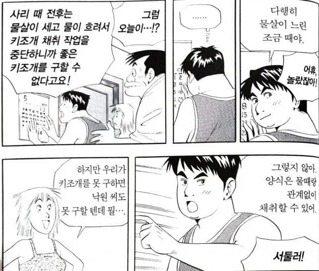 식객) 양식이 자연산을 압도한다는 해산물 - 이미지 4