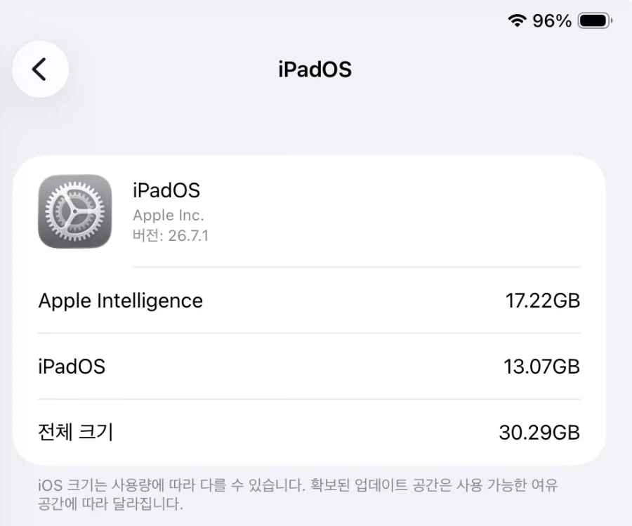 아이패드 애플 인텔리전스 용량
