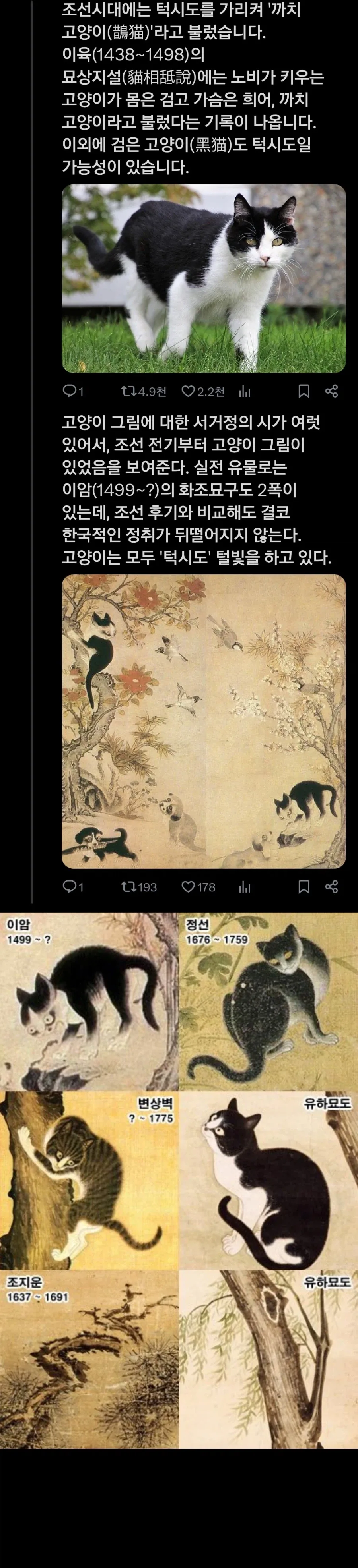 조선시대에 흔했던 고양이 품종.jpg