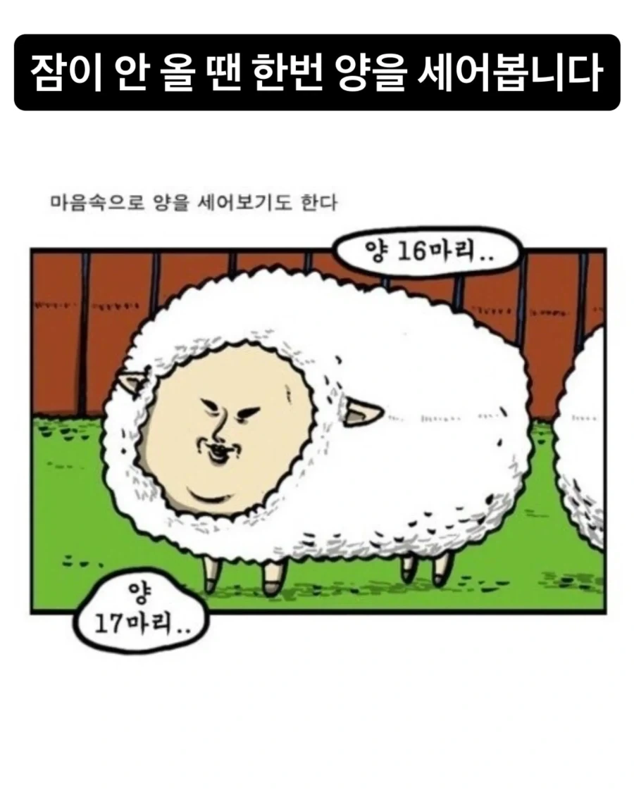 전성기 조석의 잠 안올때 양세기