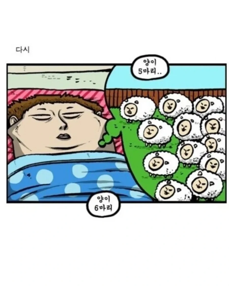 전성기 조석의 잠 안올때 양세기 - 이미지 4