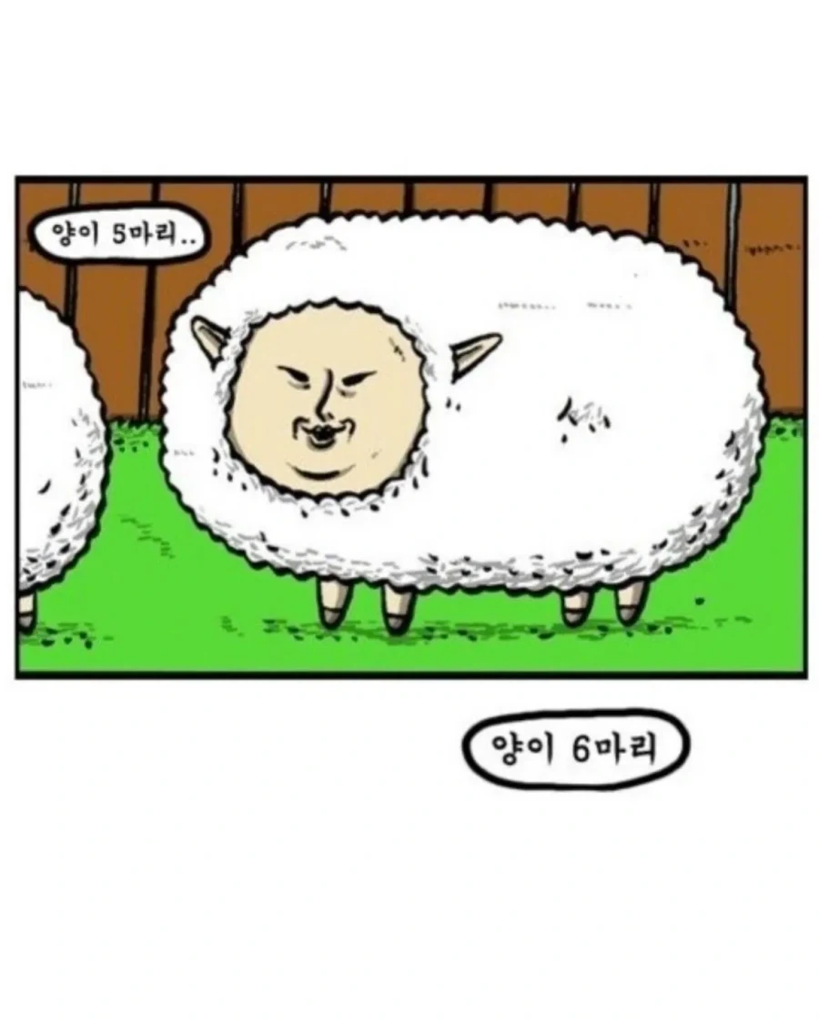 전성기 조석의 잠 안올때 양세기 - 이미지 9