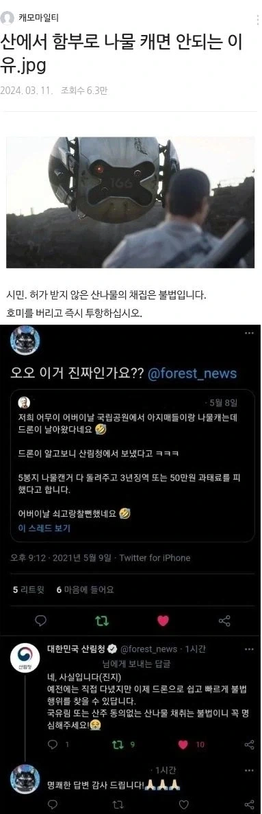 산에서 함부로 나물 캐면 안되는 이유.