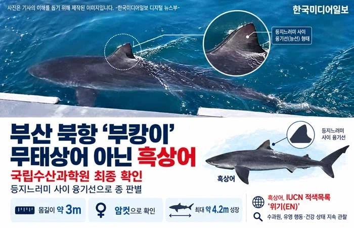 북항이 사실 귀한몸 이였다!!