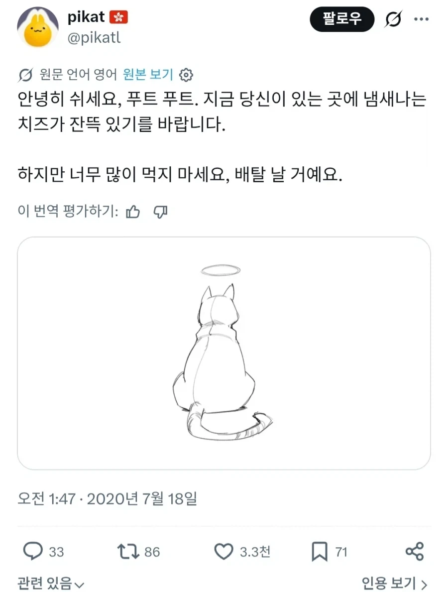 "고양이가 떠나고 6년"