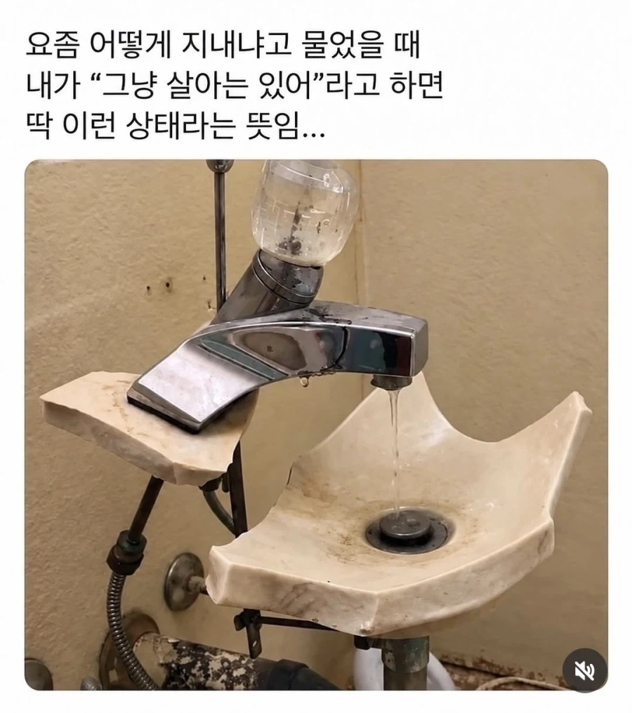 그냥 살아만 있어 라는 의미