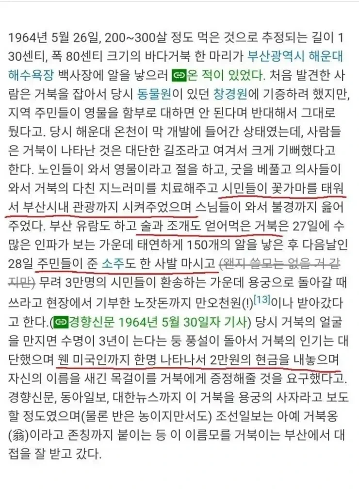 부캉이뿐만 아니라 부산은 동물 방문의 성지였음 - 이미지 2