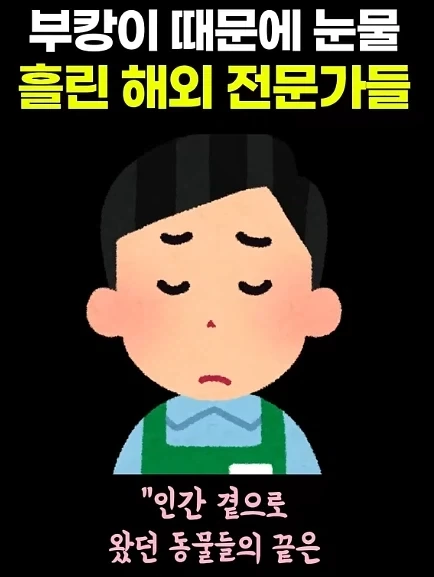 부캉이에 대해 나오는 우려의 목소리 - 이미지 3