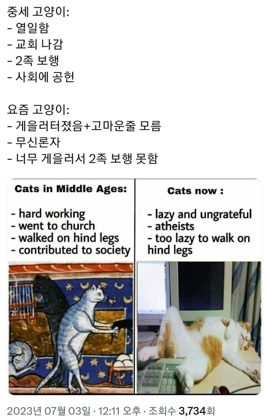 중세 고양이 vs 현대 고양이