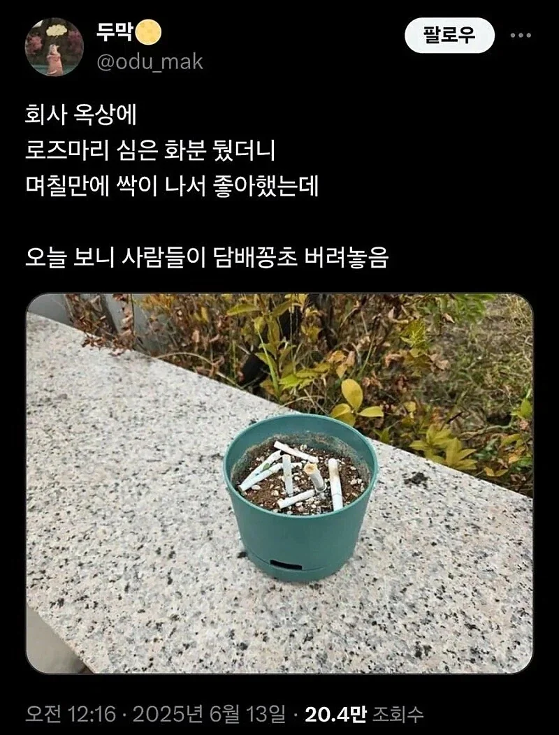 회사 옥상에 식물을 기르려한것에 대한 보답