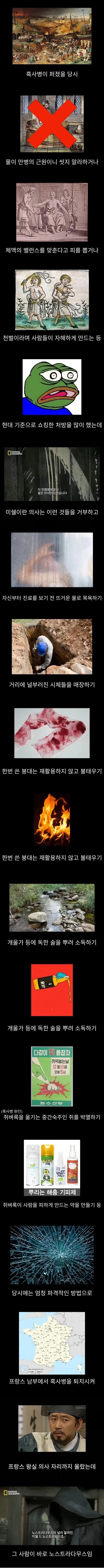 프랑스에서 흑사병을 퇴치한 전설의 의사