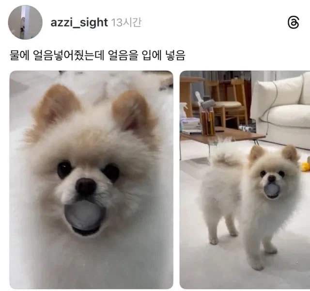 엉엉이