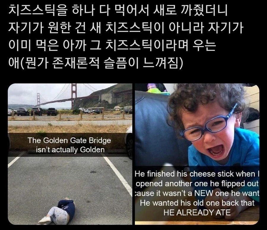 돌아오지않는 치즈스틱.jpg