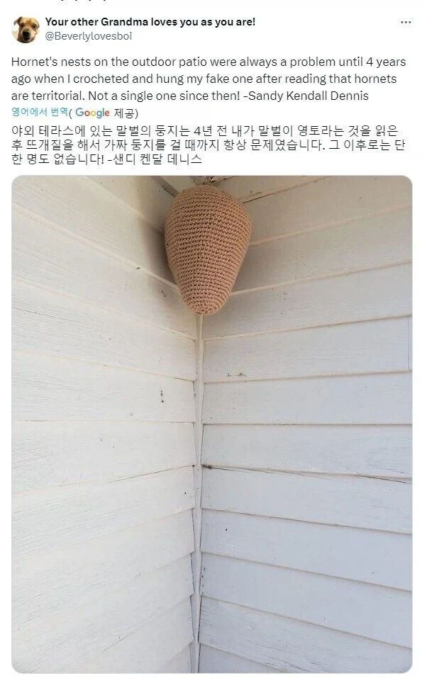 말벌이 집을 못 짓게 사전에 막는 방법.jpg