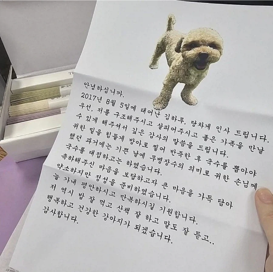 입양 보낸 강아지에게서 온 편지